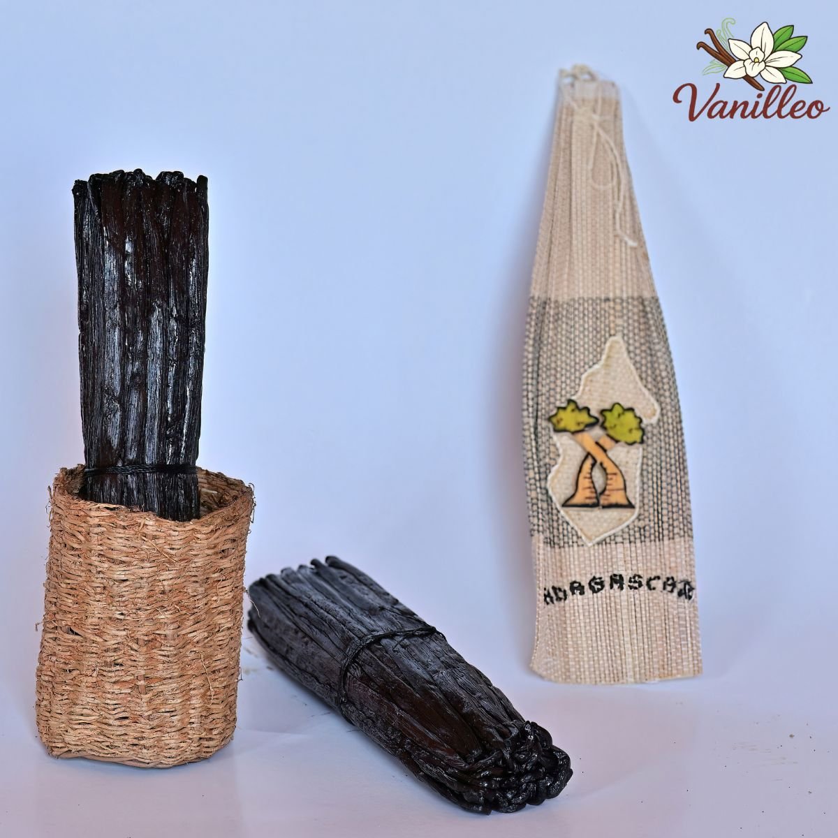 Calibre des gousses de vanille 16-18 cm Gousse de vanille de Madagascar mesurant entre 16 et 18 cm