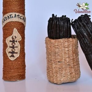 Gousses de vanille Bourbon issues de la région SAVA à Madagascar