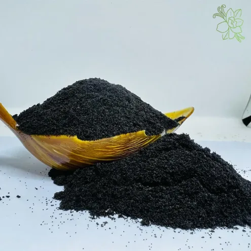 vanilla-seeds-from-madagascar Madagascar vanilla seeds